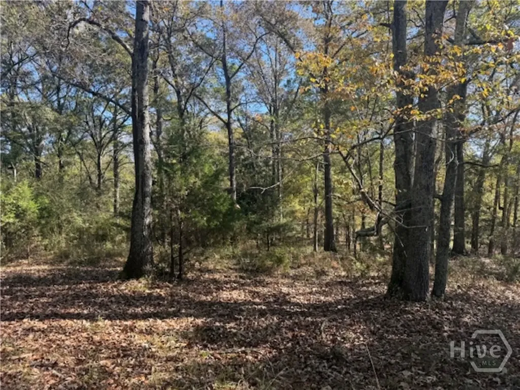 1240 Summit Drive Watkinsville GA 30677