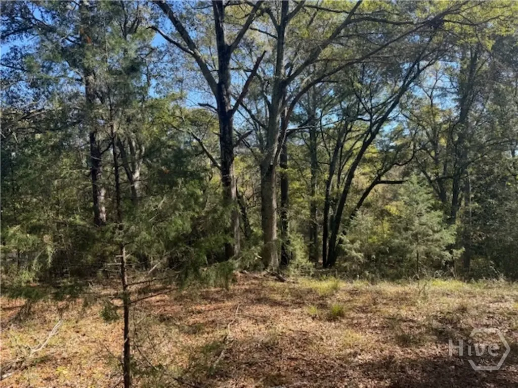 1240 Summit Drive Watkinsville GA 30677