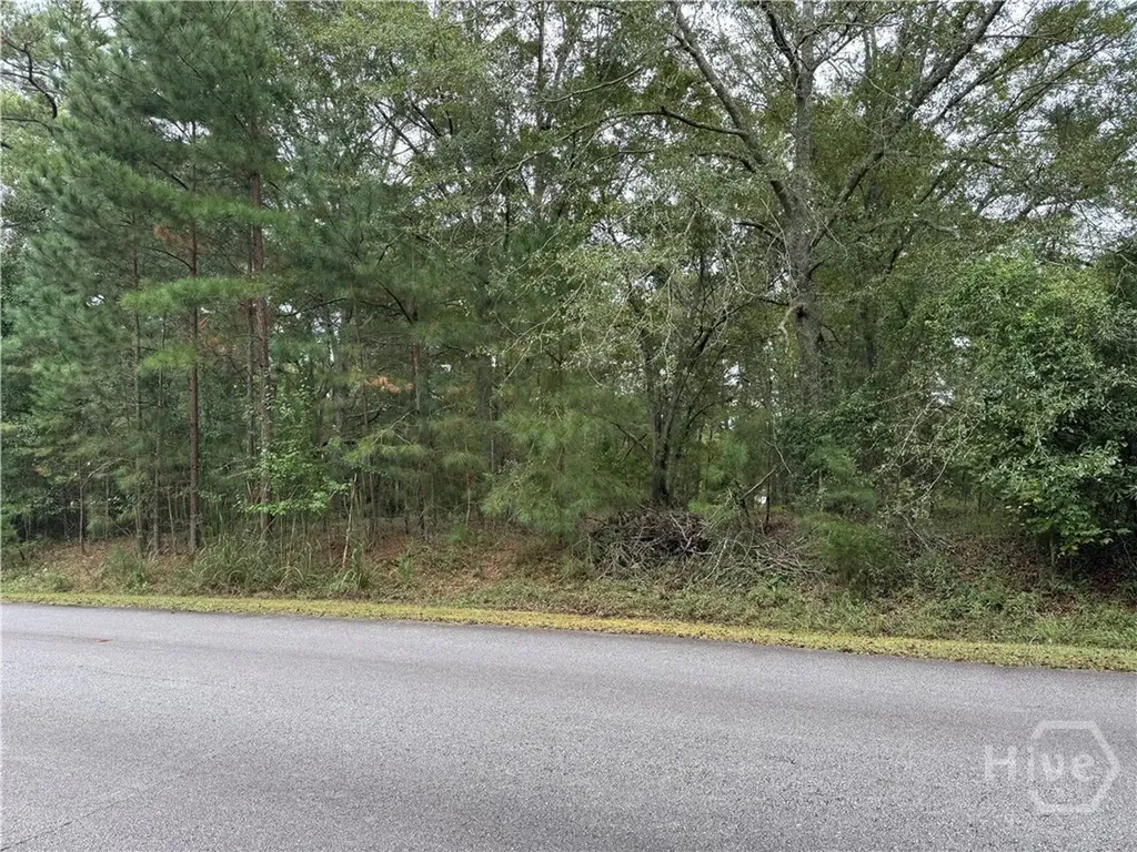 1240 Summit Drive Watkinsville GA 30677