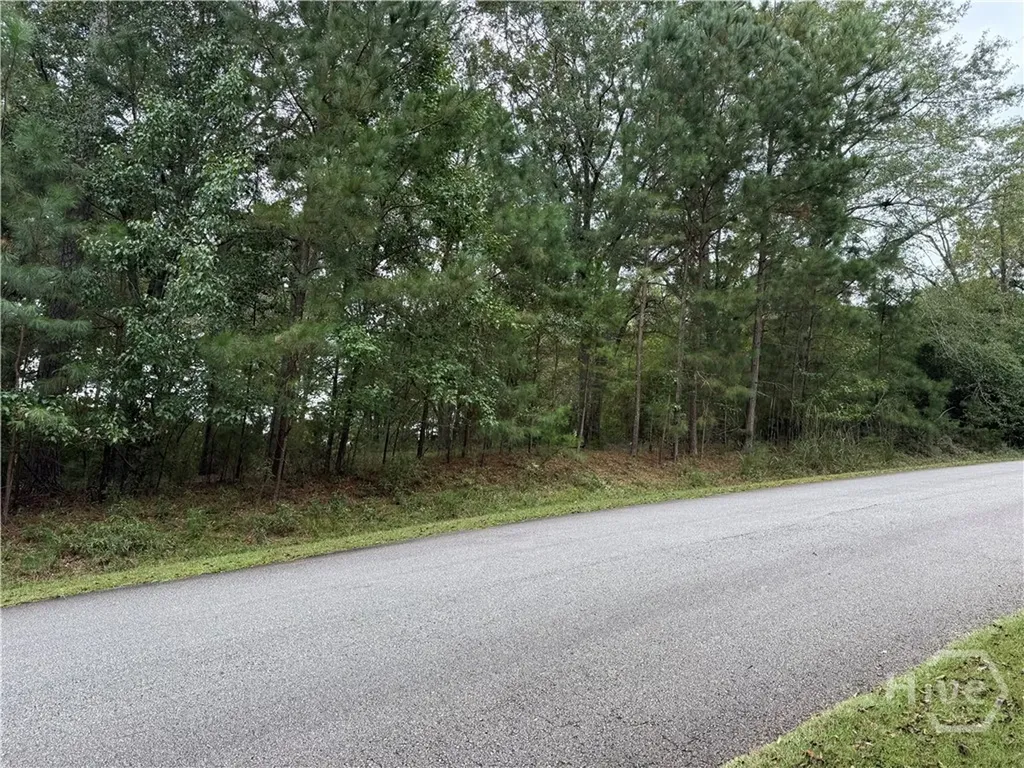 1240 Summit Drive Watkinsville GA 30677