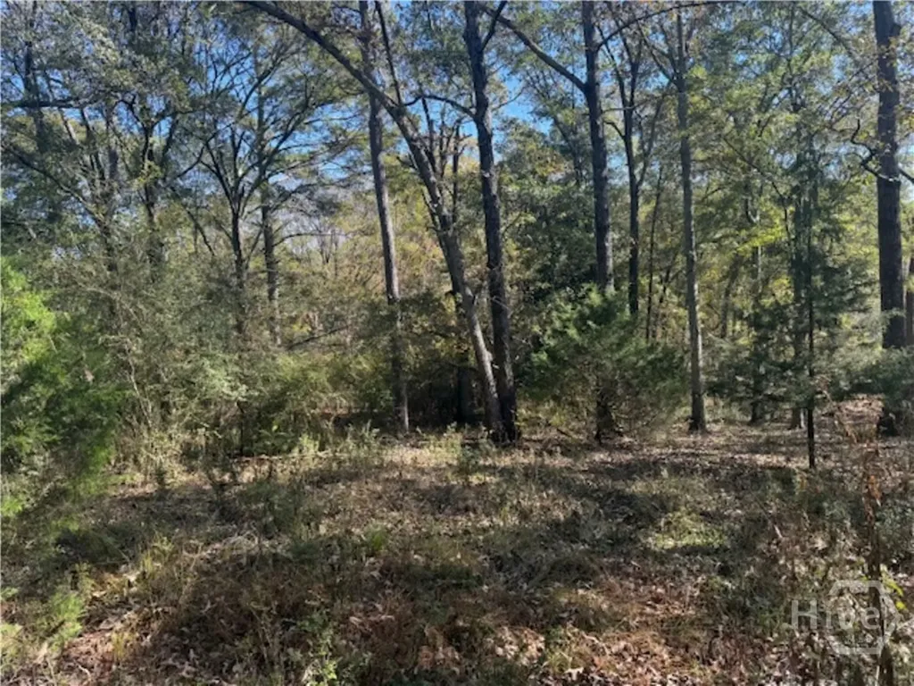 1240 Summit Drive Watkinsville GA 30677