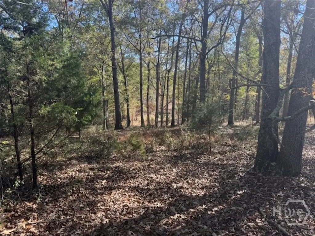 1240 Summit Drive Watkinsville GA 30677
