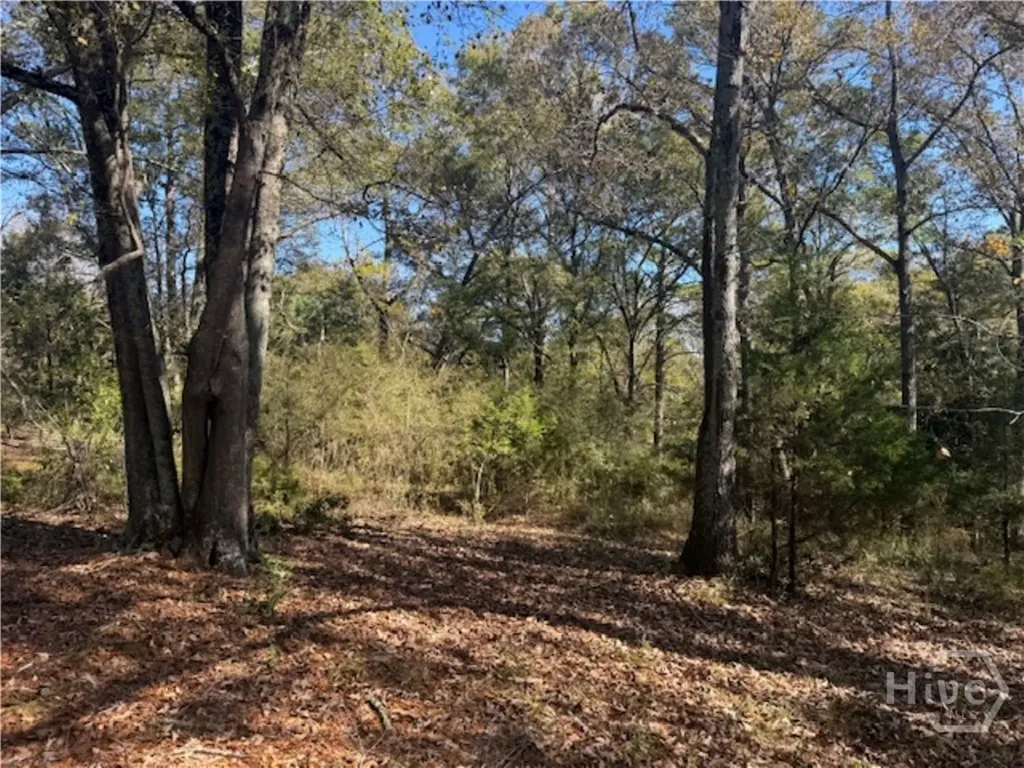 1240 Summit Drive Watkinsville GA 30677