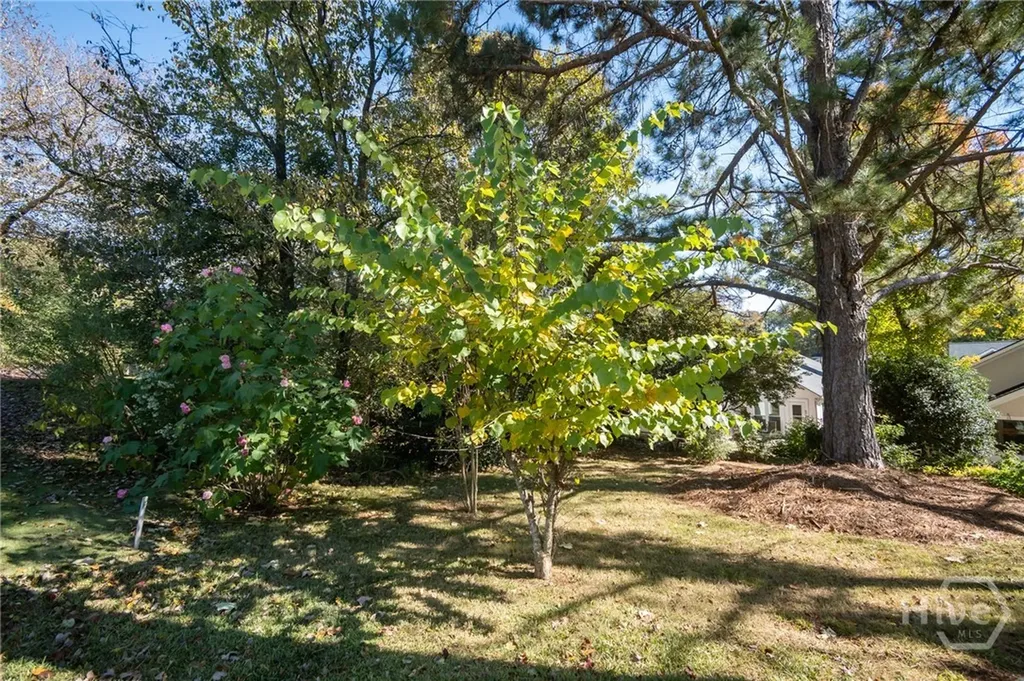 160 Cambridge Drive Athens GA 30606