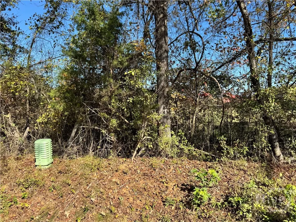 Tract 2 Taylor Road Lexington GA 30648