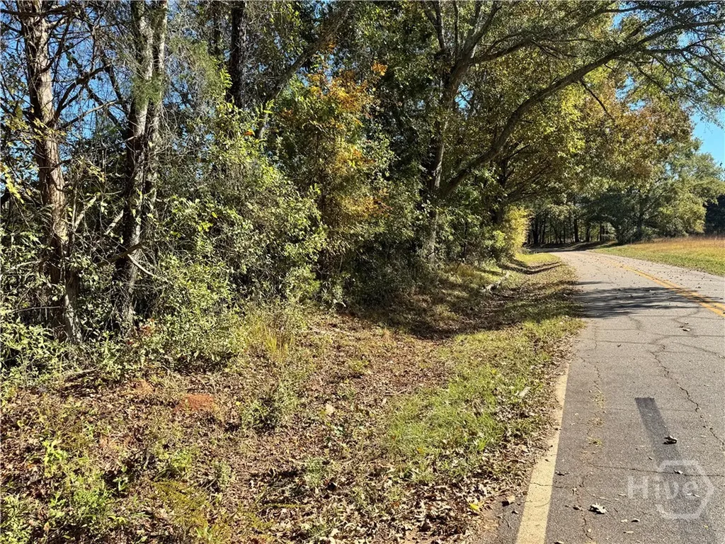 Tract 2 Taylor Road Lexington GA 30648