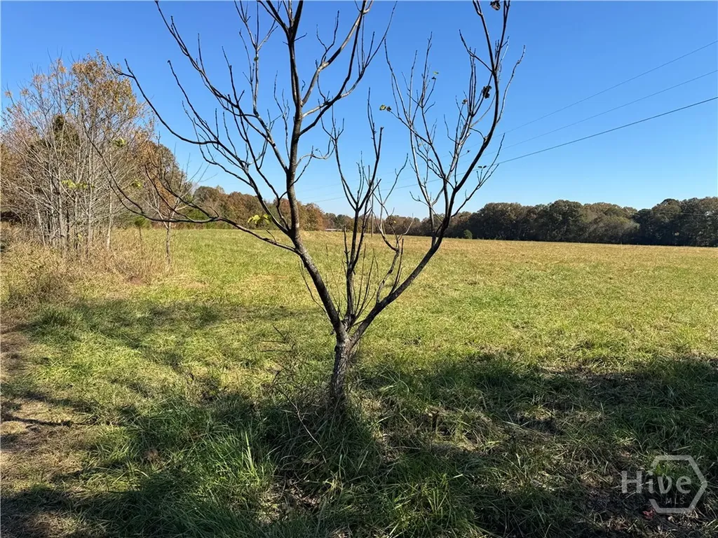 Tract 1 Taylor Road Lexington GA 30648