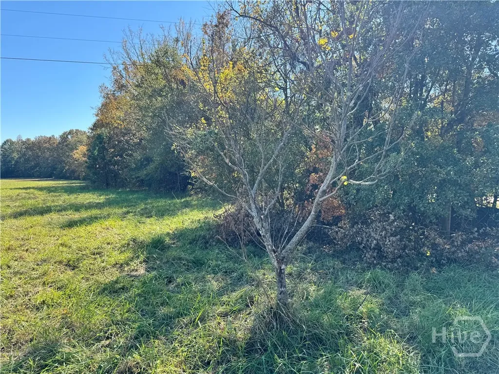 Tract 1 Taylor Road Lexington GA 30648