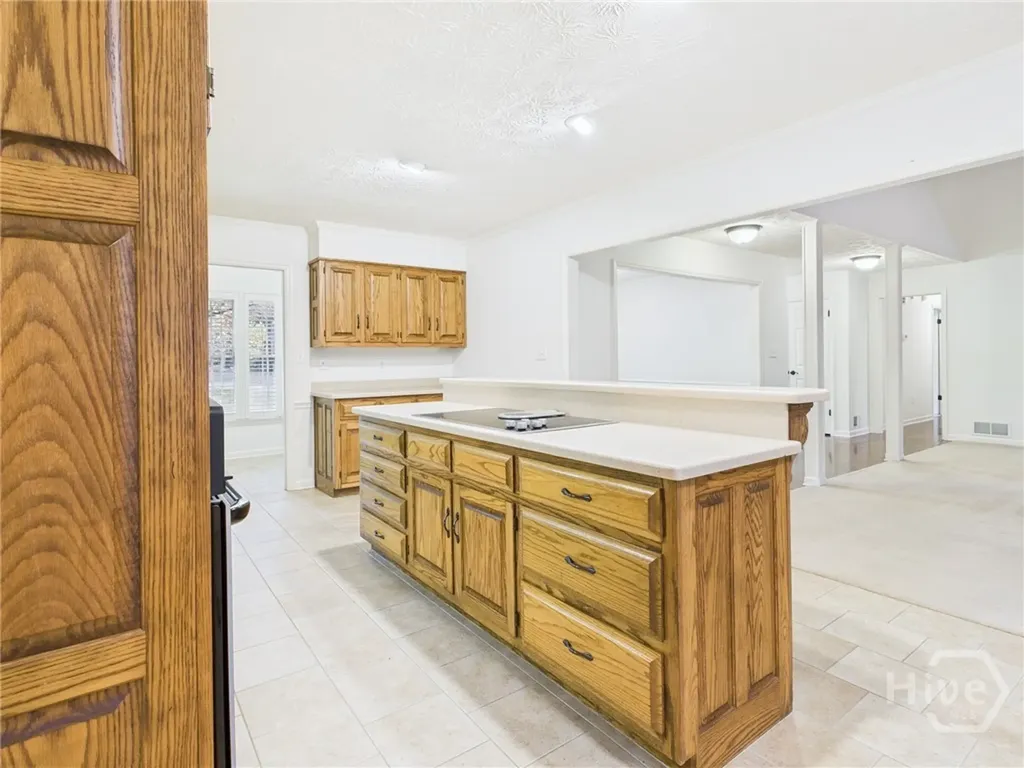 1010 Springview Court Athens GA 30606