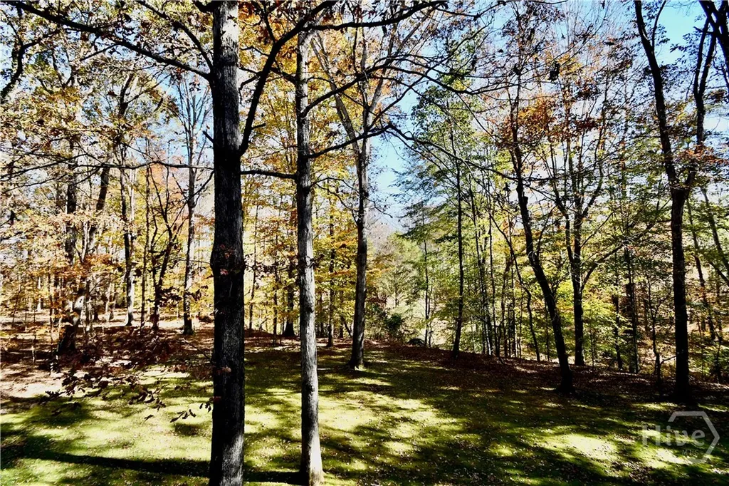 218 Thornhill Drive Athens GA 30607