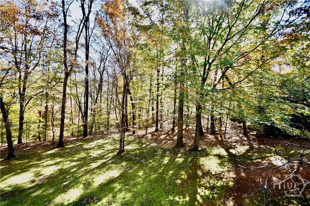 218 Thornhill Drive Athens GA 30607