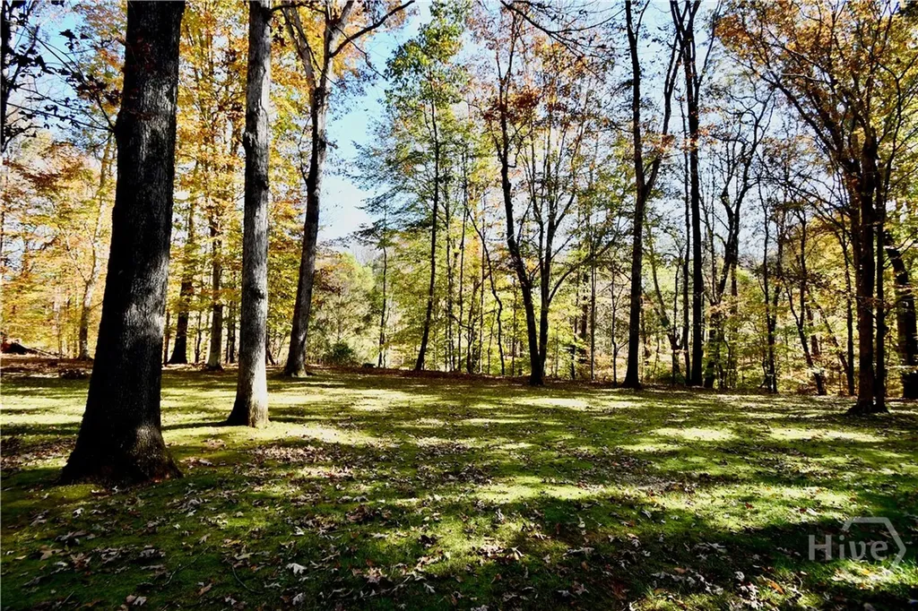 218 Thornhill Drive Athens GA 30607