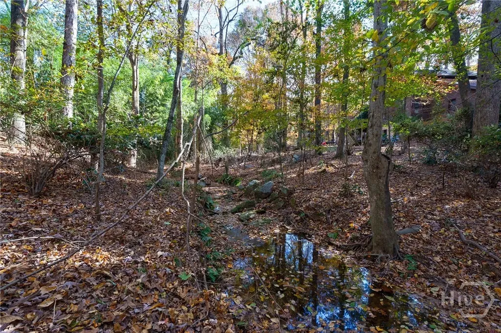 115 Woodhaven Street Athens GA 30606