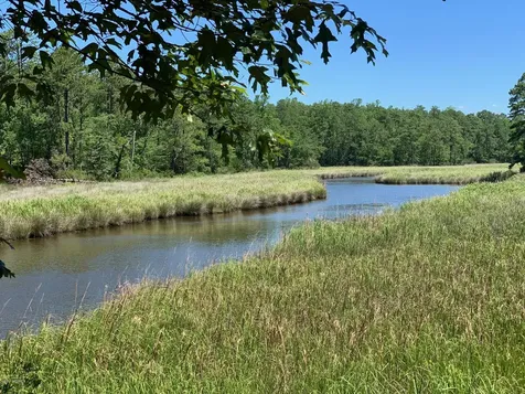 220 Golden Fern Lane Minnesott Beach NC 28510