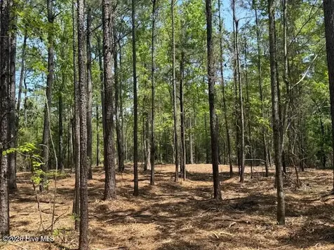 Lot 1 Port Drive Oriental NC 28571