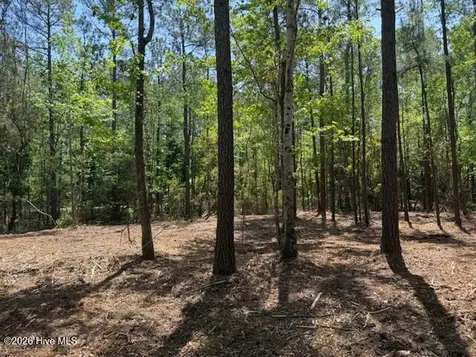 Lot 1 Port Drive Oriental NC 28571