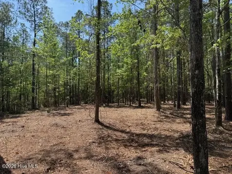 Lot 1 Port Drive Oriental NC 28571