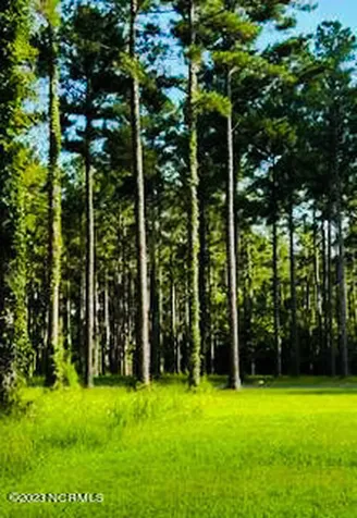 96 278 Dawson Creek Boulevard Oriental NC 28571
