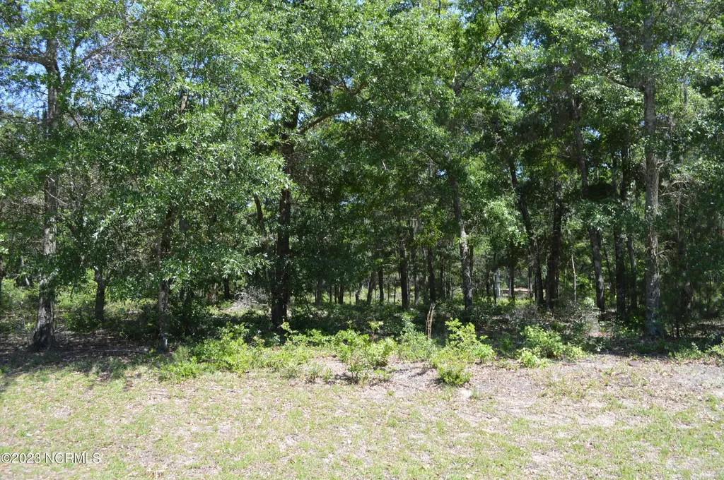 3378 Four Water Lane SW Supply NC 28462