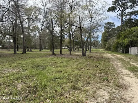 0 E Marney Drive Burgaw NC 28425