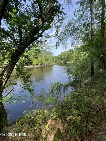 0 E Marney Drive Burgaw NC 28425