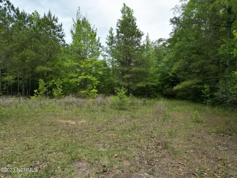 0 E Marney Drive Burgaw NC 28425