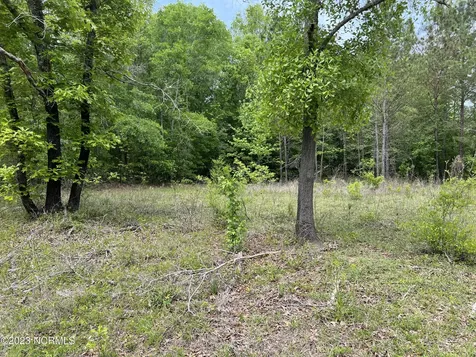 0 E Marney Drive Burgaw NC 28425