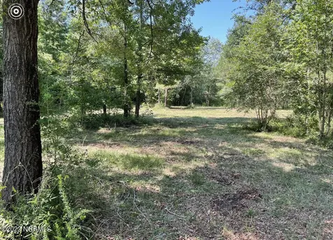 0 E Marney Drive Burgaw NC 28425