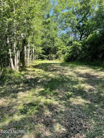 0 E Marney Drive Burgaw NC 28425