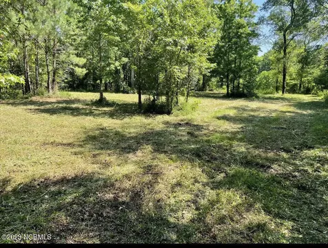 0 E Marney Drive Burgaw NC 28425
