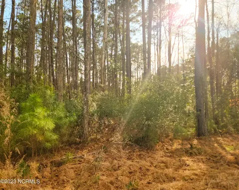 153 Oswell Brinson Road Merritt NC 28556