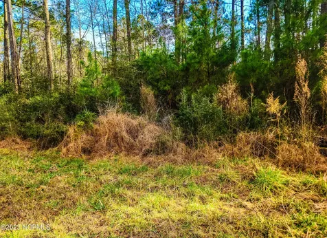 153 Oswell Brinson Road Merritt NC 28556