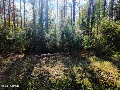 117 Oswell Brinson Road Merritt NC 28556