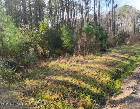 117 Oswell Brinson Road Merritt NC 28556