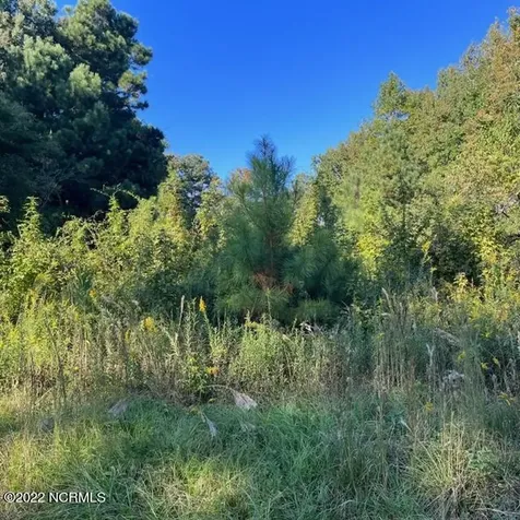 221 Prichard Avenue Havelock NC 28532