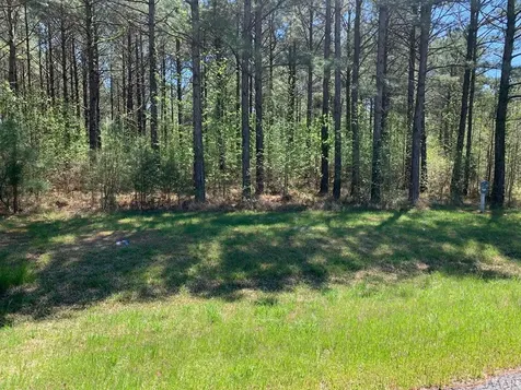 412 Plumtree Circle Edenton NC 27932