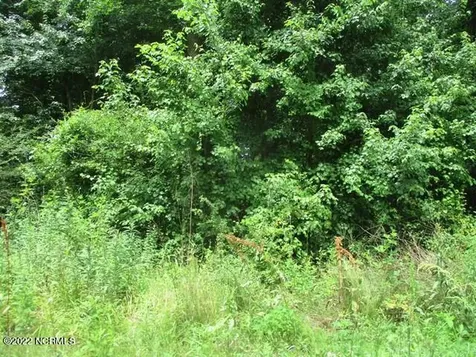 0 Old Mintz Highway Garland NC 28441
