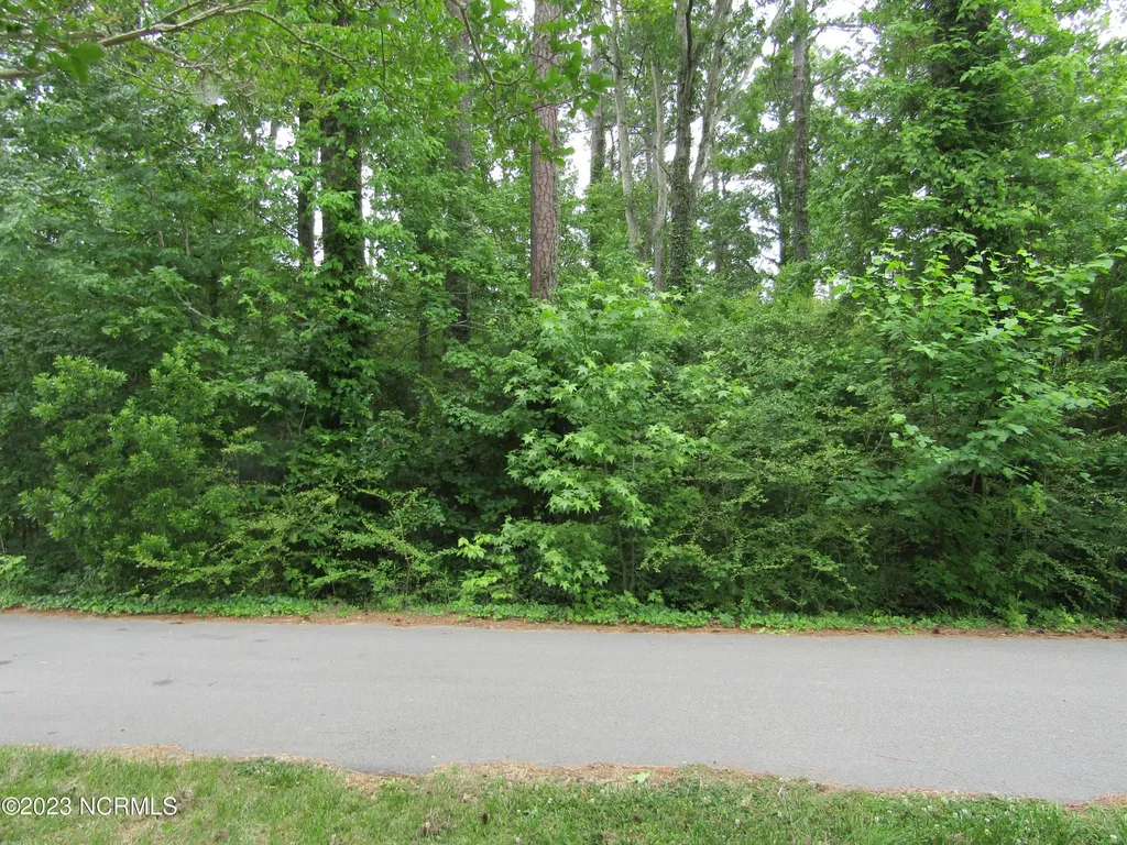 Lot 8 Quail Drive Plymouth NC 27962