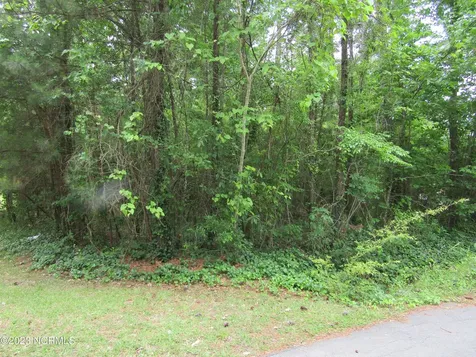 Lot 8 Quail Drive Plymouth NC 27962