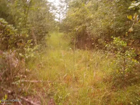 205 Hardesty Farm Road Newport NC 28570