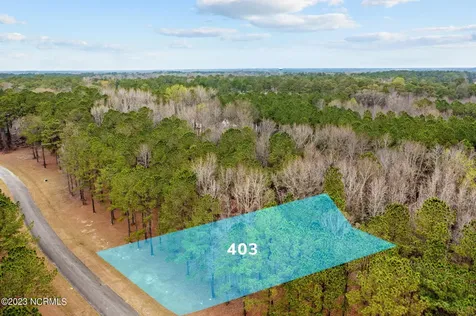 403 Anna Lane Snow Hill NC 28580