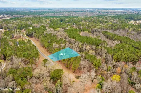 401 Anna Lane Snow Hill NC 28580