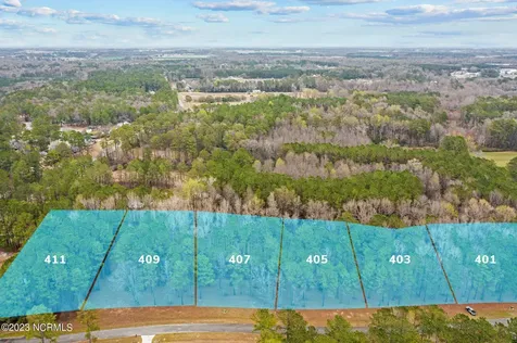 401 Anna Lane Snow Hill NC 28580