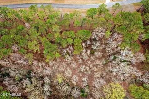 405 Anna Lane Snow Hill NC 28580