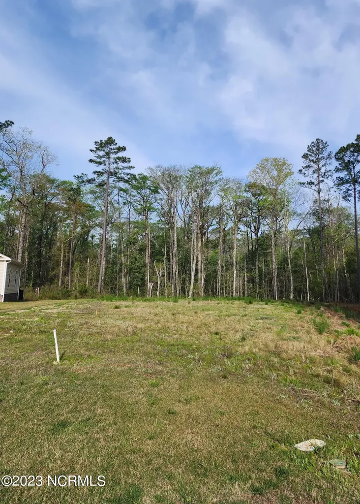 3008 Verdant Ridge New Bern NC 28562