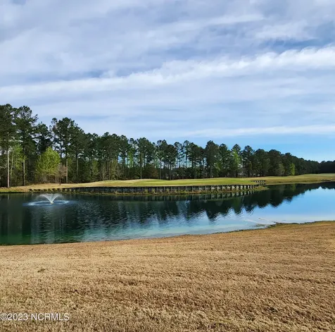 3008 Verdant Ridge New Bern NC 28562