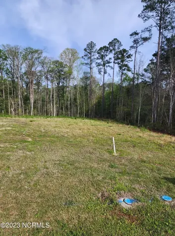 3008 Verdant Ridge New Bern NC 28562
