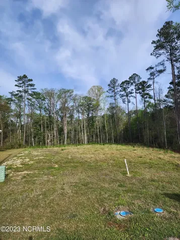 3008 Verdant Ridge New Bern NC 28562