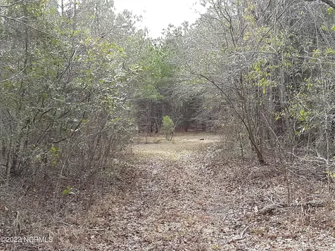 D08-67 John Pollock Road Grantsboro NC 28529