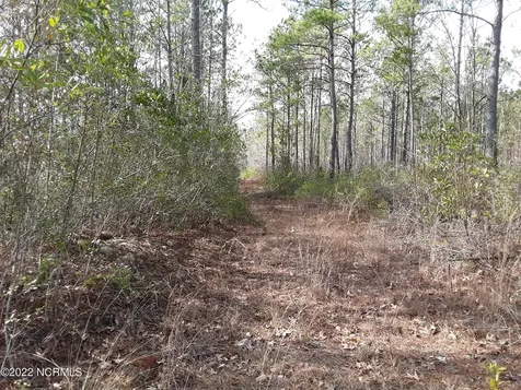 D08-67 John Pollock Road Grantsboro NC 28529